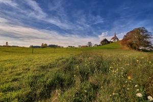 Dom do wynajęcia Błonie – Przewodnik po najlepszych ofertach